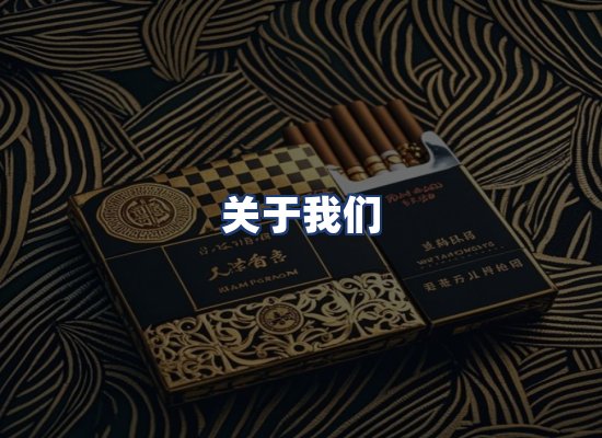 关于我们